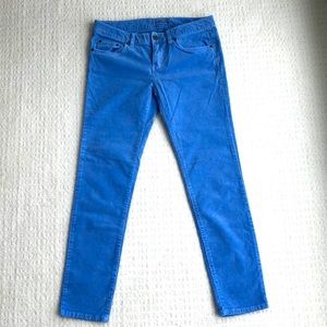 VV Light blue cords